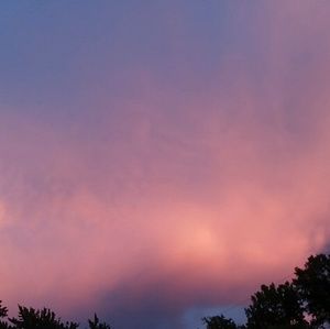 Meet your Posher, Ashlyn